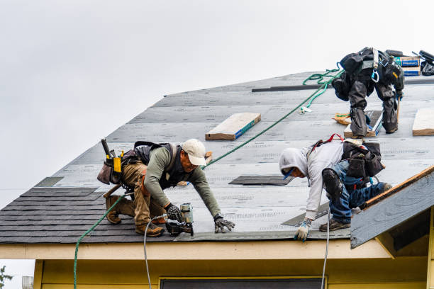 Professional Roof Installation technician working in Nashville, IN
